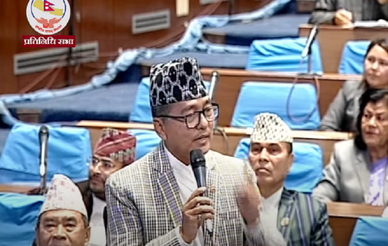 राजेन्द्र लिङ्देनको प्रश्र : राजा हटाएर नारायणहिटीमा व्यापार गर्न कसले खोज्यो ?
