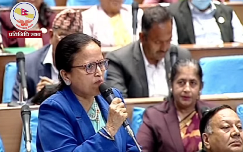 हामी अहिले गणतन्त्र कि राजतन्त्र बहस गर्ने ठाउँमै छैनौं : रेखा शर्मा