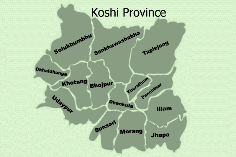 ६.०२ प्रतिशतले घट्यो कोशीमा कृषि कर्जा